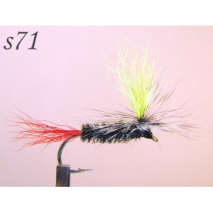 s071
