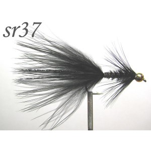 sr037