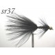 sr037