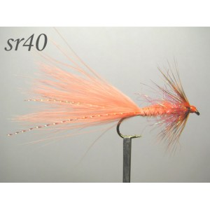 sr040