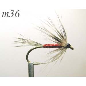 m036