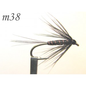 m038