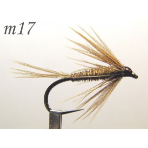 m017