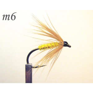 m006