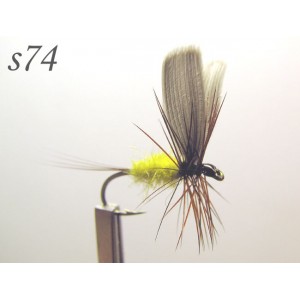 s074