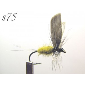 s075
