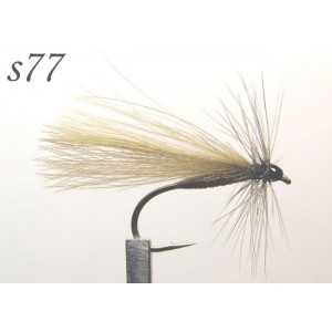 s077