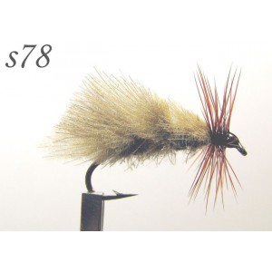 s078