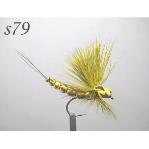 s079
