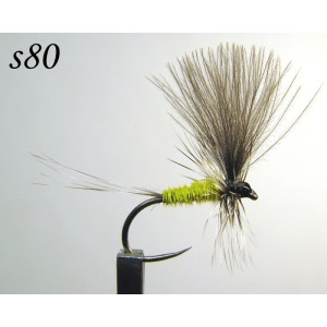 s080