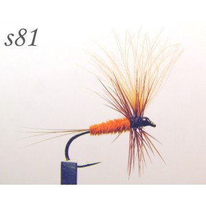 s081