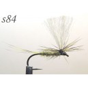 s084