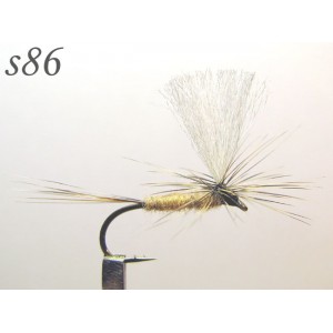 s086
