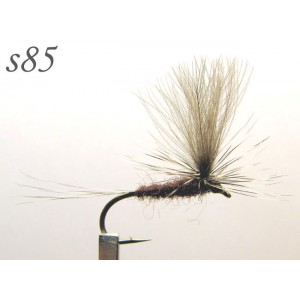s085