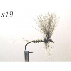 s019