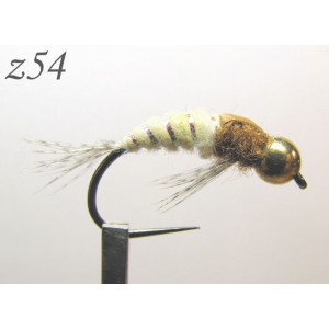 z054