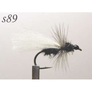 s089