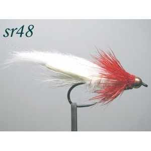 sr048