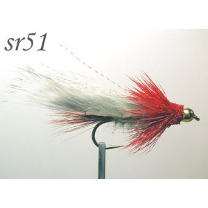 sr051