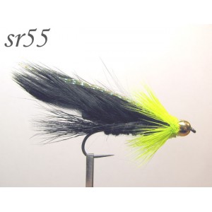 sr055