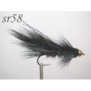 sr058