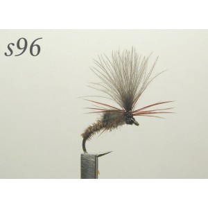 s096