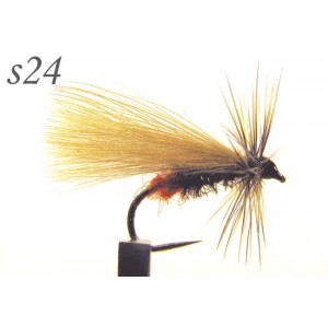 s024