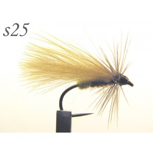 s025
