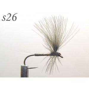 s026