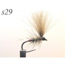 s029