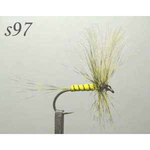 s097