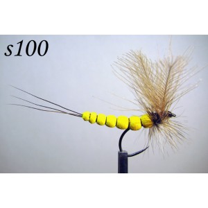 s100