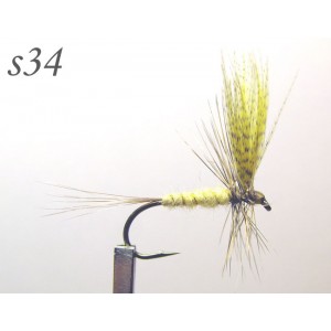 s034