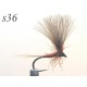 s036