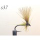 s037