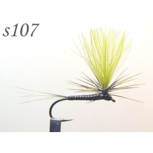 s107