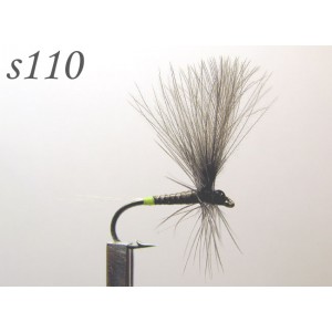 s110