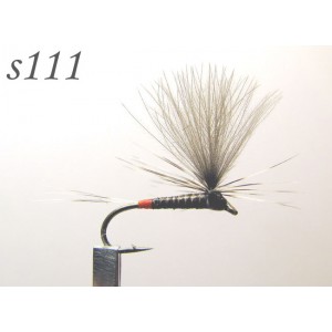 s111