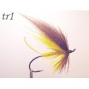 tr01