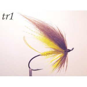 tr01