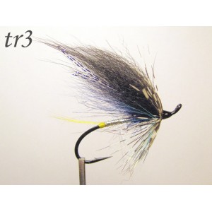 tr03