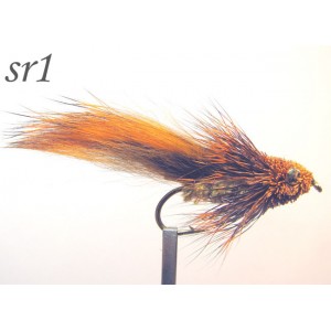 sr001