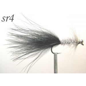 sr004
