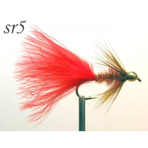 sr005