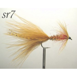 sr007