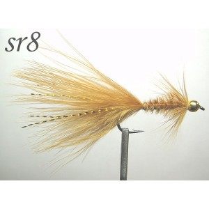 sr008